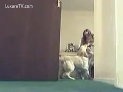 She copulates the dog while playing music.